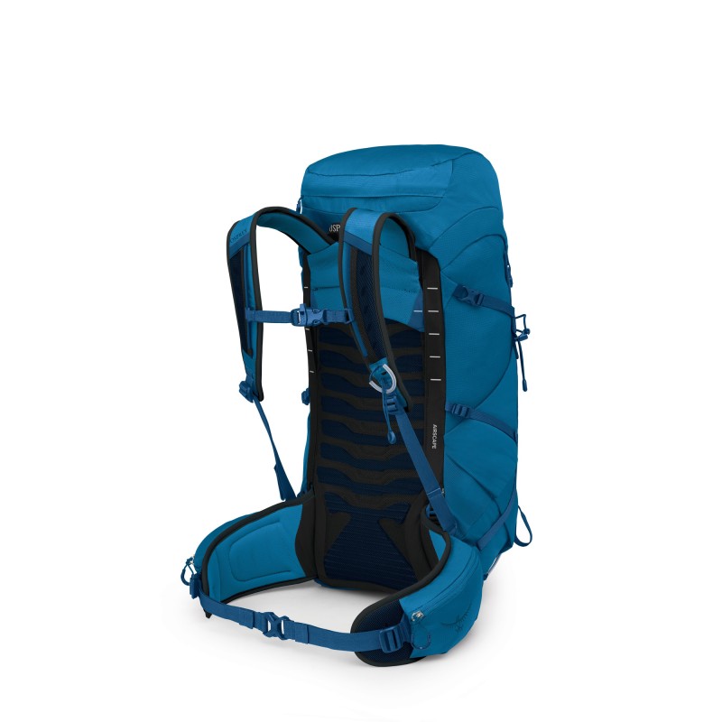 Talon 33