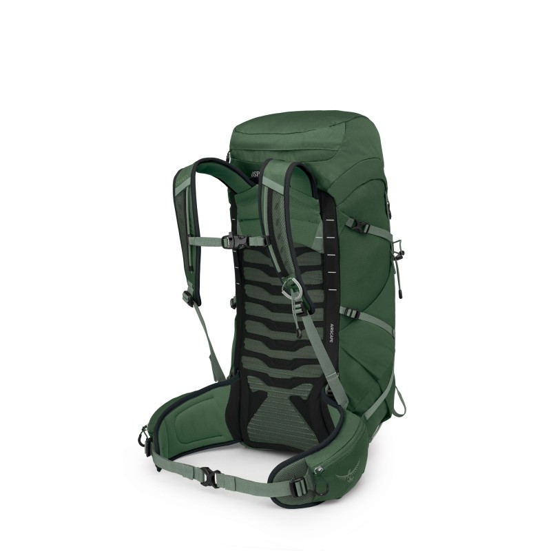 Talon 33