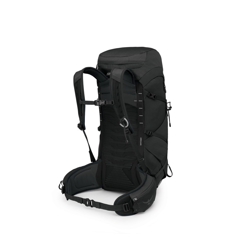Talon 33