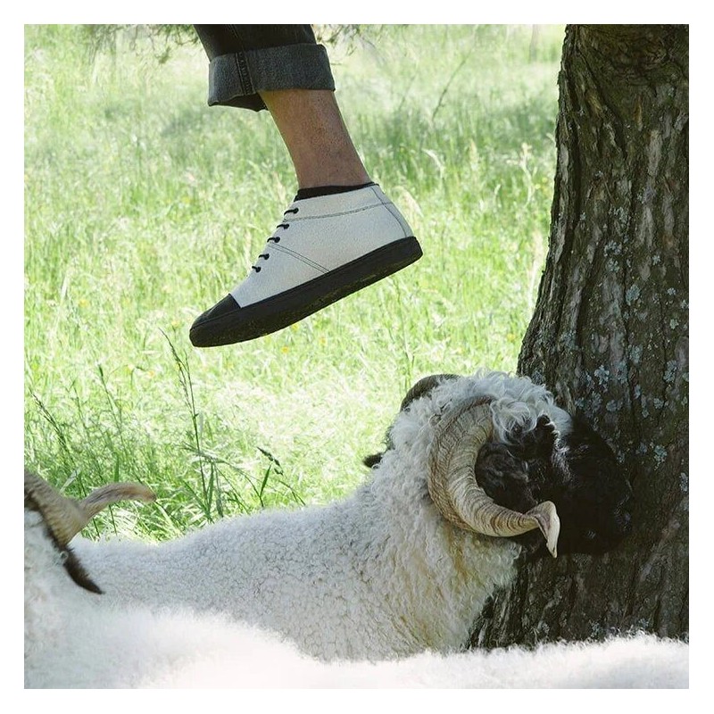 Blacknose Sky Wooler